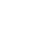 Briefcase